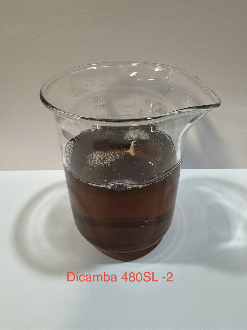 Dicamba 480g/ SL